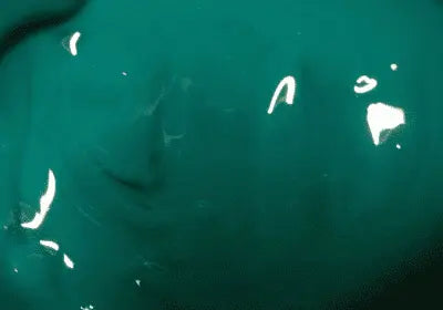 Mint Green Waterbased Ink Art2Silkscreen