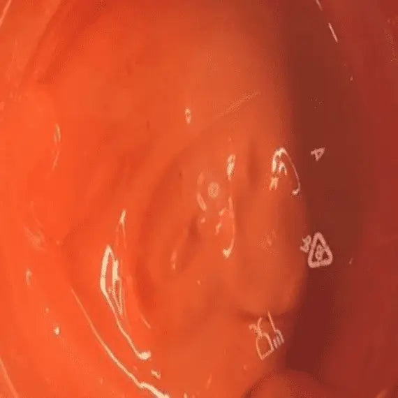 Opaque Orange Waterbased Ink Art2Silkscreen
